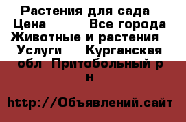 Растения для сада › Цена ­ 200 - Все города Животные и растения » Услуги   . Курганская обл.,Притобольный р-н